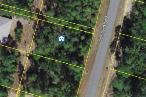 Terreno en venta en Ocala, Florida № 1650689 - foto 1