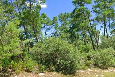 Terreno en venta en Ocala, Florida № 1650689 - foto 3
