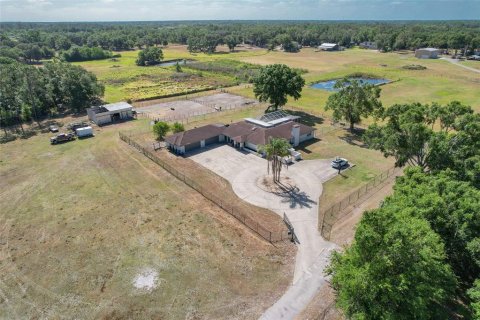 House in Plant City, Florida 4 bedrooms, 251.58 sq.m. № 1666494 - photo 8