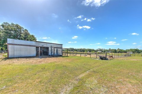 House in Plant City, Florida 4 bedrooms, 251.58 sq.m. № 1666494 - photo 9