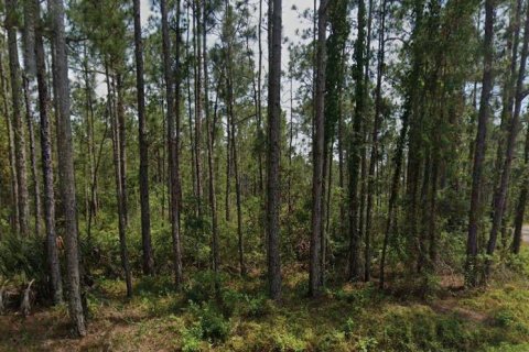 Land in Sebring, Florida № 2279856