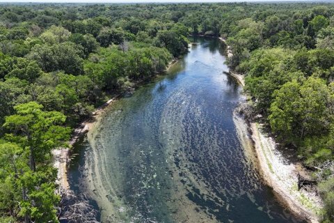 Land in Branford, Florida № 2166618 - photo 9