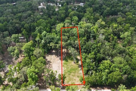 Land in Branford, Florida № 2166618 - photo 3