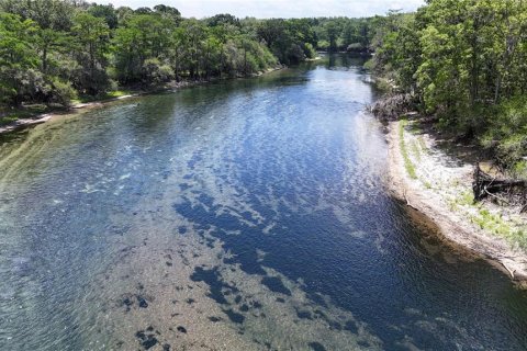 Land in Branford, Florida № 2166618 - photo 12