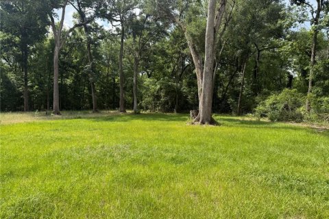 Land in Branford, Florida № 2166618 - photo 6