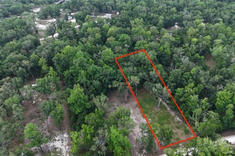 Land in Branford, Florida № 2166618 - photo 4