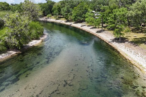 Land in Branford, Florida № 2166618 - photo 11