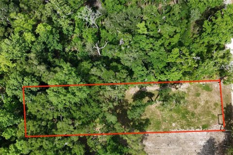 Land in Branford, Florida № 2166618 - photo 2