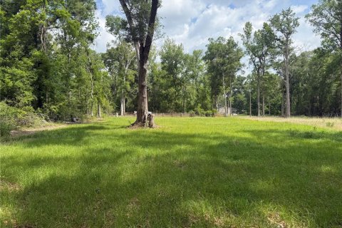 Land in Branford, Florida № 2166618 - photo 7