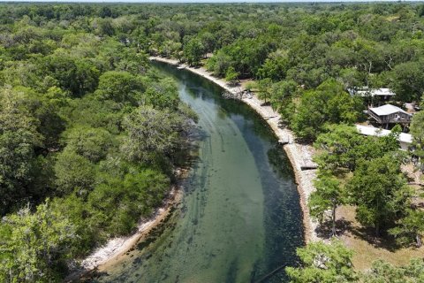 Land in Branford, Florida № 2166618 - photo 10