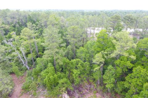 Land in Pomona Park, Florida № 2165943 - photo 5