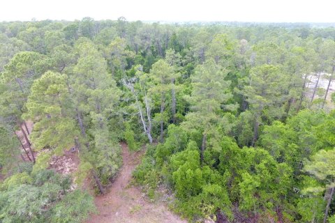 Land in Pomona Park, Florida № 2165943 - photo 6