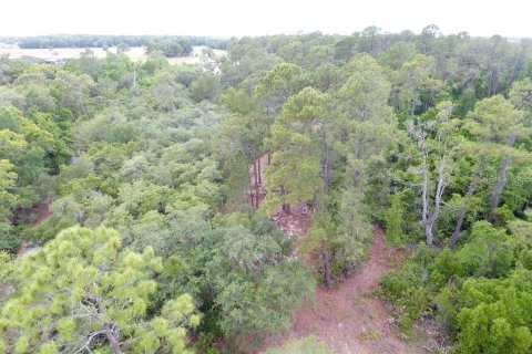 Land in Pomona Park, Florida № 2165943