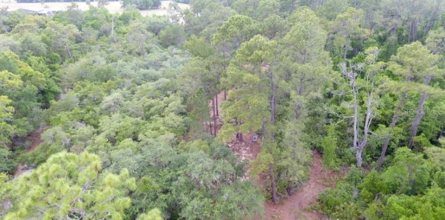 Land in Pomona Park, Florida № 2165943