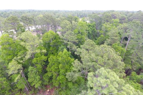 Land in Pomona Park, Florida № 2165943 - photo 4