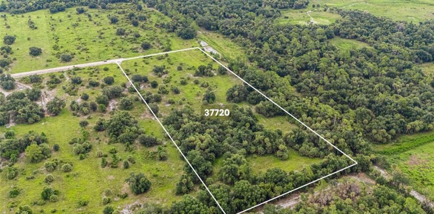 Terreno en Myakka City, Florida № 2325034