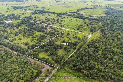 Terreno en venta en Myakka City, Florida № 2325034 - foto 2