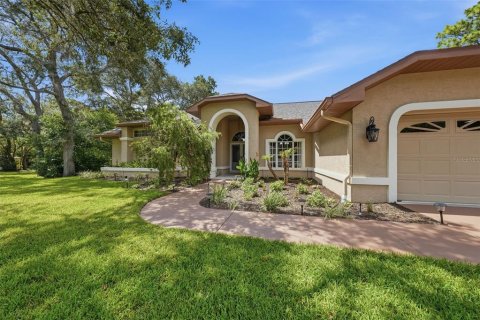 House in Weeki Wachee, Florida 3 bedrooms, 215.07 sq.m. № 2220399 - photo 3