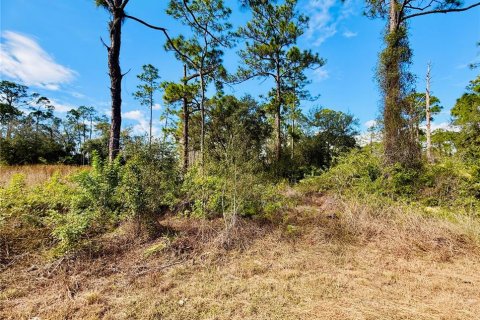 Land in Alva, Florida № 2163155 - photo 3