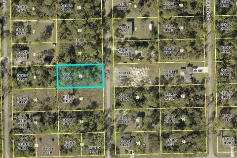 Land in Alva, Florida № 2163155 - photo 6