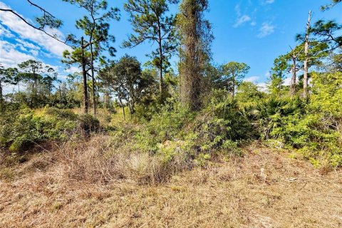 Land in Alva, Florida № 2163155 - photo 4