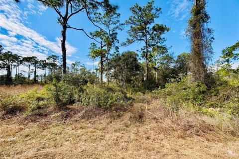 Land in Alva, Florida № 2163155 - photo 2