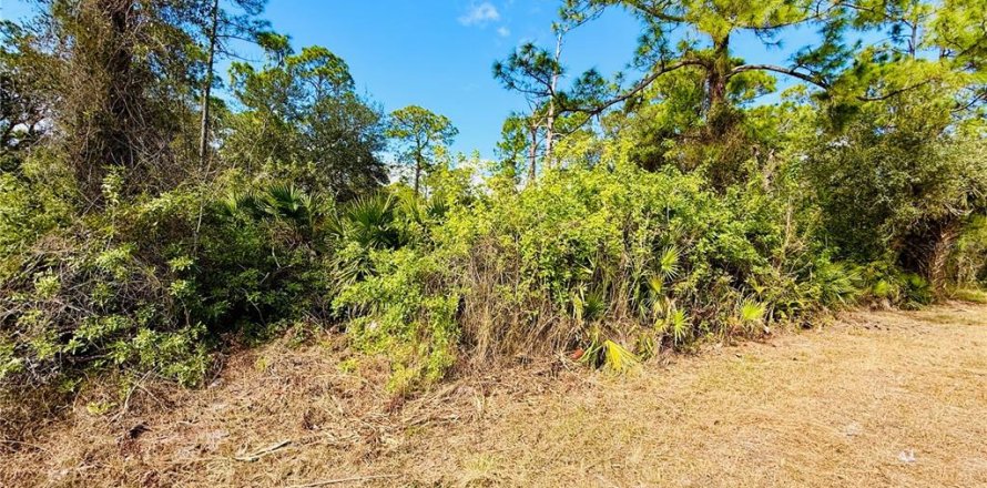 Land in Alva, Florida № 2163155