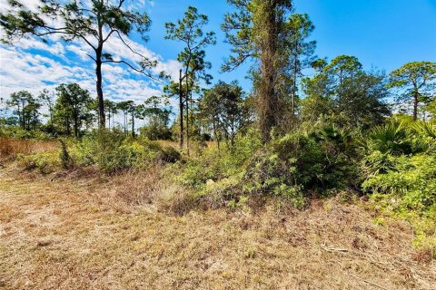 Land in Alva, Florida № 2163155 - photo 5