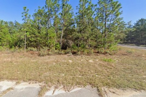 Land in Chipley, Florida № 2159316 - photo 6