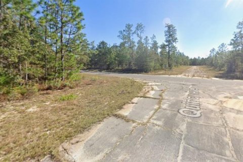 Land in Chipley, Florida № 2159316 - photo 4