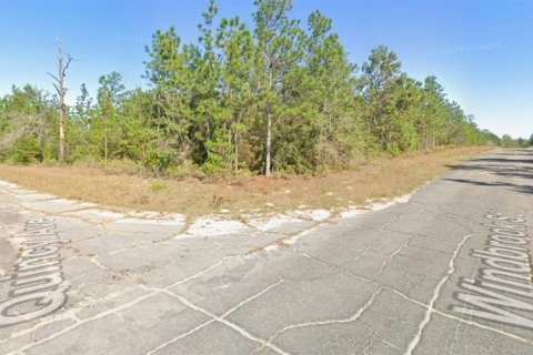 Land in Chipley, Florida № 2159316 - photo 3