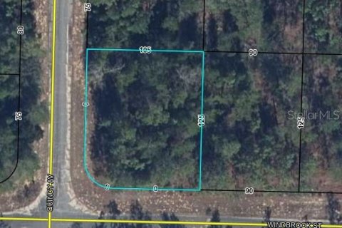 Land in Chipley, Florida № 2159316