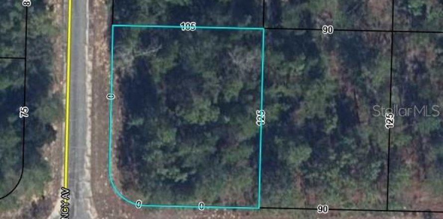 Land in Chipley, Florida № 2159316