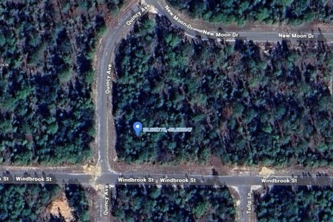 Land in Chipley, Florida № 2159316 - photo 2