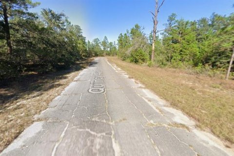 Land in Chipley, Florida № 2159316 - photo 5