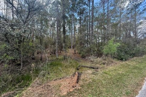 Land in Wesley Chapel, Florida № 1717457 - photo 4