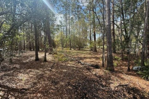 Land in Wesley Chapel, Florida № 1717457 - photo 6