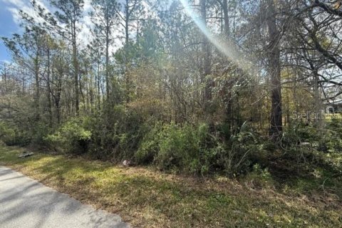 Land in Wesley Chapel, Florida № 1717457 - photo 3