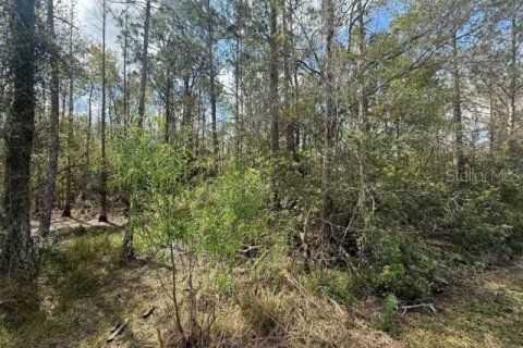 Land in Wesley Chapel, Florida № 1717457 - photo 7