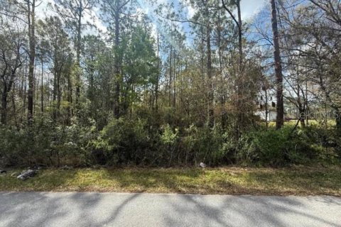 Land in Wesley Chapel, Florida № 1717457 - photo 2