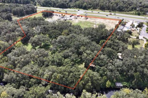 Terrain à Leesburg, Floride № 2413857