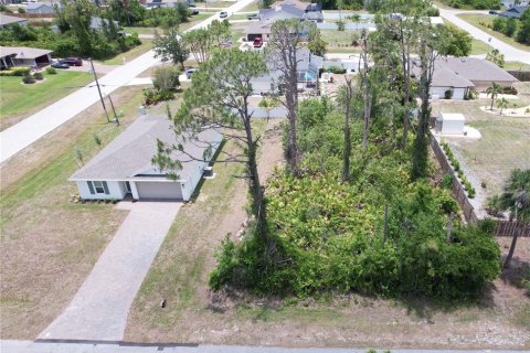 Land in Port Charlotte, Florida № 1744317 - photo 2