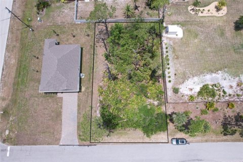 Land in Port Charlotte, Florida № 1744317 - photo 1