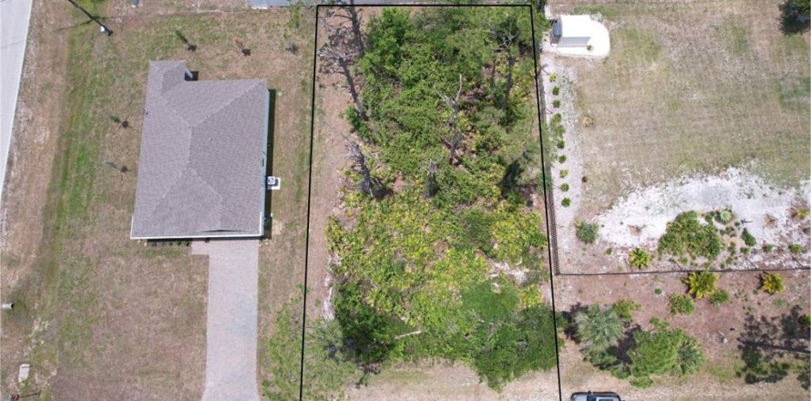 Land in Port Charlotte, Florida № 1744317