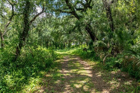 Land in Lake Wales, Florida № 1894849 - photo 29