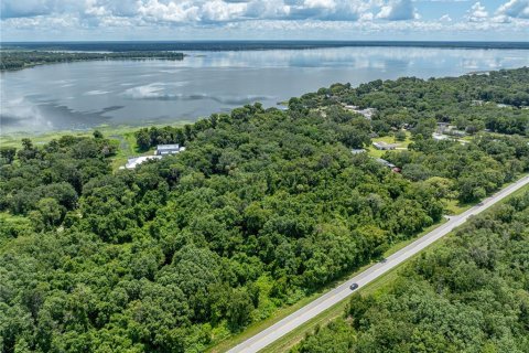 Land in Lake Wales, Florida № 1894849 - photo 15