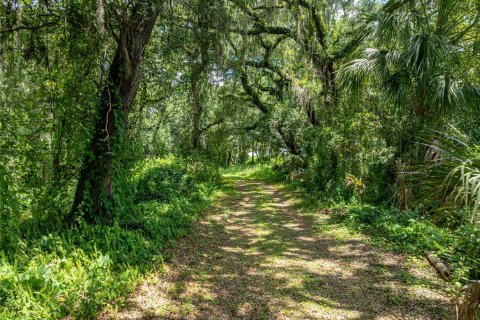Land in Lake Wales, Florida № 1894849 - photo 28