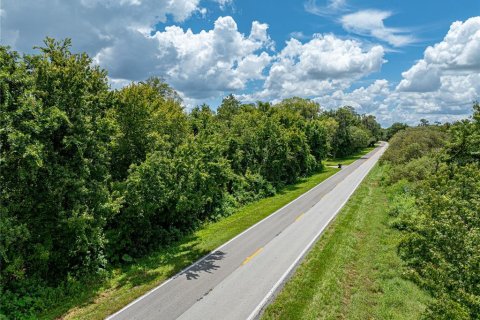 Land in Lake Wales, Florida № 1894849 - photo 24