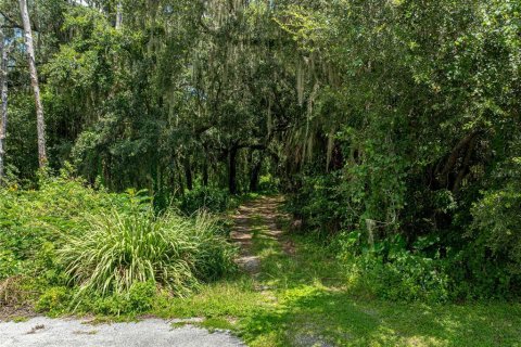 Land in Lake Wales, Florida № 1894849 - photo 25