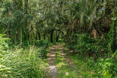 Land in Lake Wales, Florida № 1894849 - photo 26